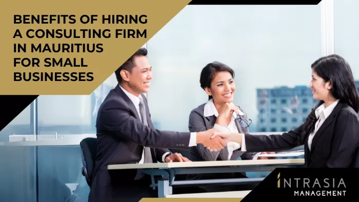 Consulting firm in Mauritius serving small businesses